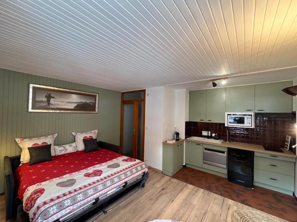 Studio Dent Du Caiman, Chamonix Hyper Centre, Parking, Vue Mont Blanc Bagian luar foto